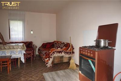 Casa, anexe, teren, gradina, livada - 5