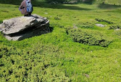 Teren de 185000 mp, în Padeș - 6