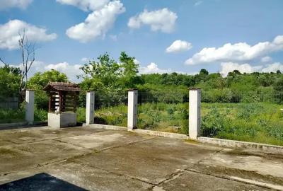 Casă cu 6 camere cu Teren 3000 Mp în Mănăștiur - 8