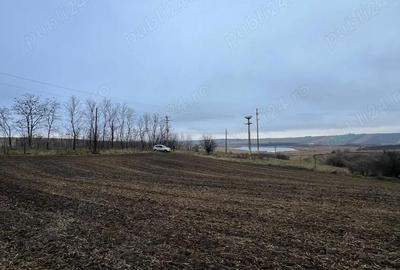 Teren de 23400 mp, în Central - 3