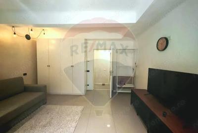 Garsoniera renovata complet - Locotenent Dumitru Lemnea 3 - 4