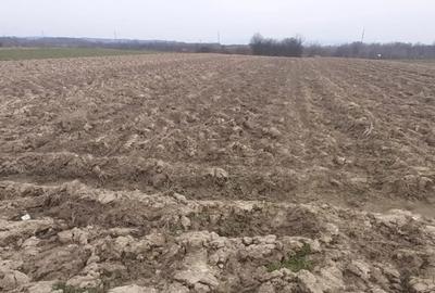 Teren în Mocira - 1