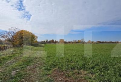 Teren de 1400 mp, în Răzvad - 2