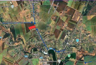 Teren de Vanzare – Peris, Ilfov, 5007 mp - 2