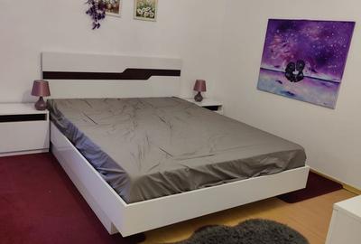 Apartament cu 3 camere decomandat în Grigorescu - 8