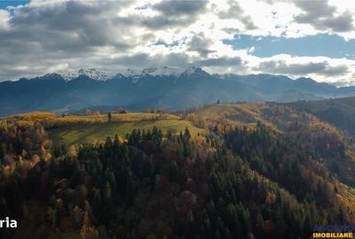 Spațiu comercial, în Drumul Carului - 7