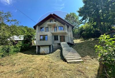 Casa / Vila la gri in Pangarati Neamt