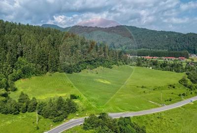 Teren intravilan de 10000 mp, în Brădet