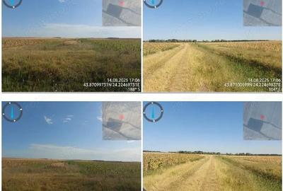 Teren de 2500 mp, în Amărăști - 2