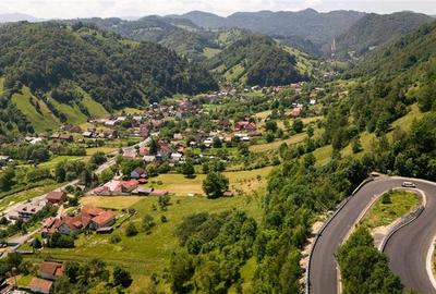 Teren Construcții intravilan de 2327 mp, în Moieciu de Jos - 11