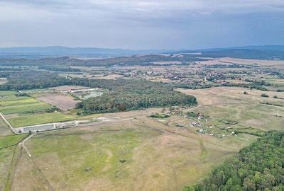 Teren Extravilan - 13