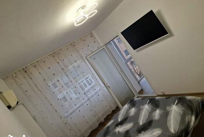 Apartament cu 3 camere decomandat în Banat - 14