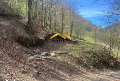 Teren de 702 mp, în Măguri - 3