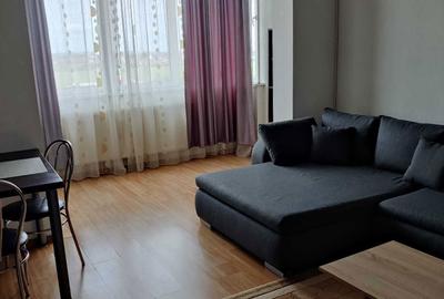 Apartament cu 2 camere semidecomandat în Tilișca - 4
