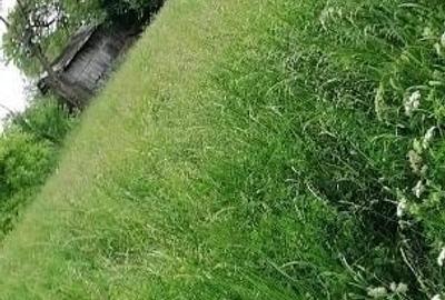 Teren de 1000 mp, în Doftana - 3