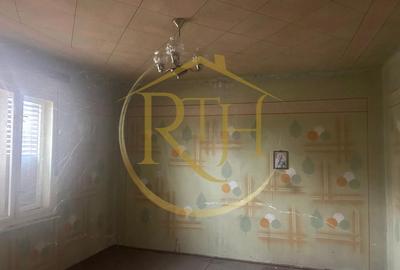 Casă individuală cu 6 camere cu Teren 2160 Mp în Balinț - 20