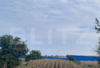 Teren de 1700 mp, în Careiului