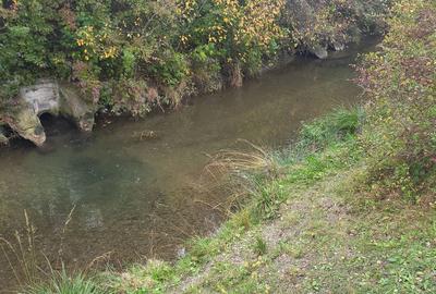 Spațiu comercial, în Hărman - 3