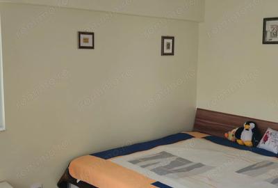 Apartament 2 camere inchiriere, zona Unirii - 5