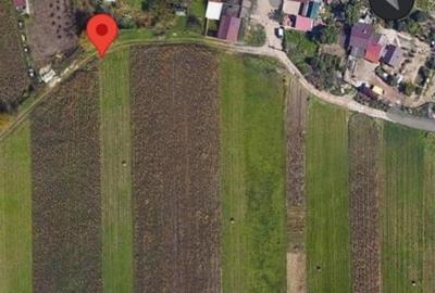 Teren Construcții extravilan de 3600 mp, în Gușterița - 5