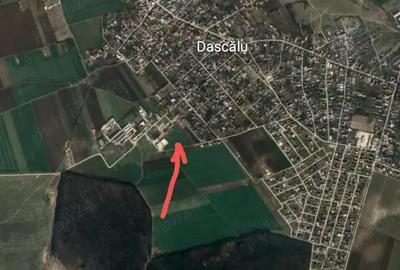 Teren de 17600 mp, în Dascălu - 3