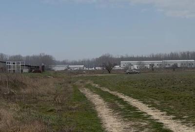 Teren de 5000 mp, în Podari - 6