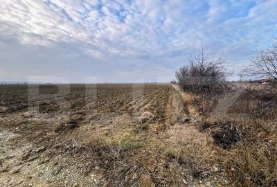 Oportunitate-Teren intravilan de vanzare, 5000 mp, zona Comu Oportunitate-Teren intravilan de vanzare, 5000 mp, zona Comu - 1