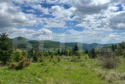 Teren de 5000 mp, în Central