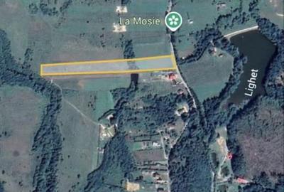 Spațiu comercial, în Central - 2