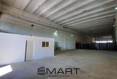 Spațiu industrial, de 800 mp, în Turnișor - 3