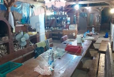 Casa finalizata pe un singur nivel, 14.5 ari teren - Satul Nou de Sus - 11