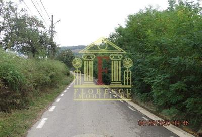 Teren intravilan  Tomesti! - 3