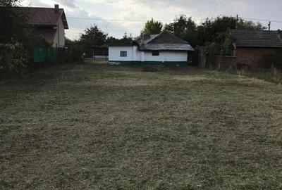 Casă cu Teren 803 Mp în Balotești - 4