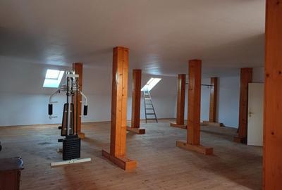 Casa spatioasa cu livada si sere- Ronat, Timisoara - 4