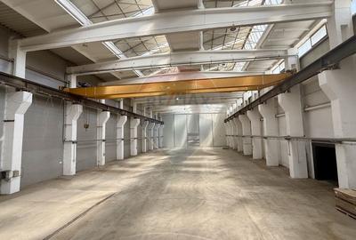 Spatiu industrial de 1,650mp de inchiriat - 4