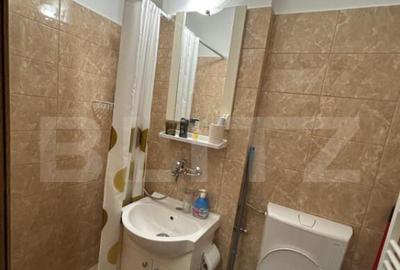 Garsoniera de vanzare, 17 mp, zona Rovinari - 9