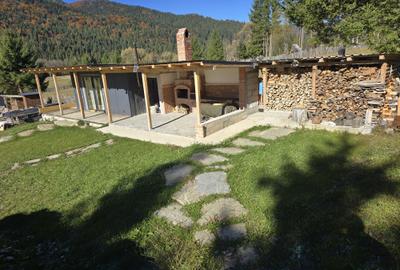 Spațiu comercial, în Borca - 5