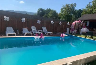 Casă cu 6 camere cu Teren 852 Mp în Eșelnița - 9