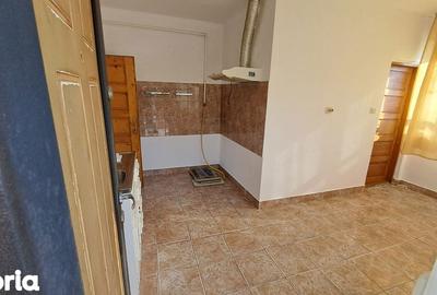 Casă cu 3 camere cu Teren 9000 Mp în Valea Borcutului - 11