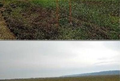 Teren de 635 mp, în Hârsești - 5