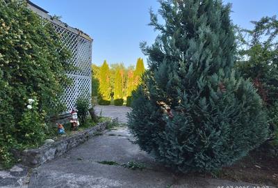 Vând  casă mare cu etaj  8 camere curte cu filigorie  Tinăud -Alesd - 5