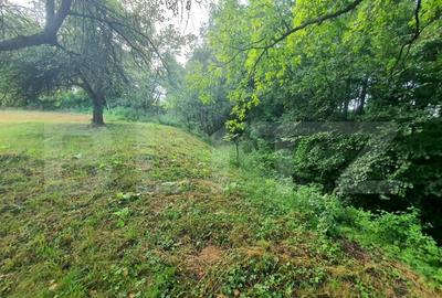 Teren intravilan, 31 ari, Ilva Mica, zona montana - 2