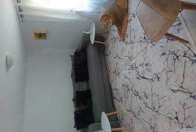 Casa de vanzare,,teren 1350 m2 - 6