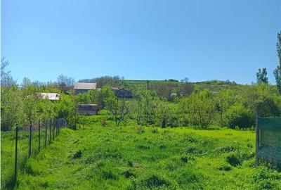 Teren Construcții intravilan de 1787 mp, în Miroslava - 4