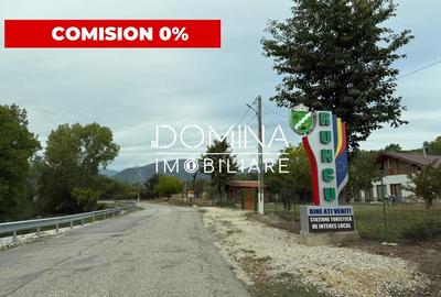 Teren Construcții intravilan de 13000 mp, în Runcu - 1