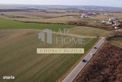 Teren de 2500 mp, în Bucov