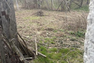 Casă cu 3 camere în Nadășu - 5