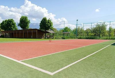 Proximitate fata de Castelul Bran - 53