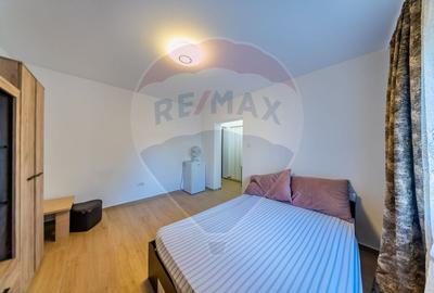 Garsoniera renovata la cheie de inchiriat zona 6 Vanatori,Arad - 7