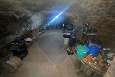 Casă individuală cu 7 camere cu Teren 2522 Mp în Brateiu - 6
